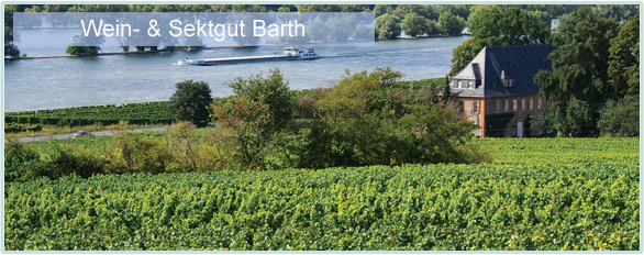 Wein und Sekt vom Weingut Barth Wein und Sekt vom Weingut Barth bei www.winestore24.de