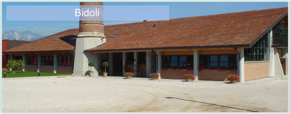 Weine von Bidoli bei www.winestore24.de