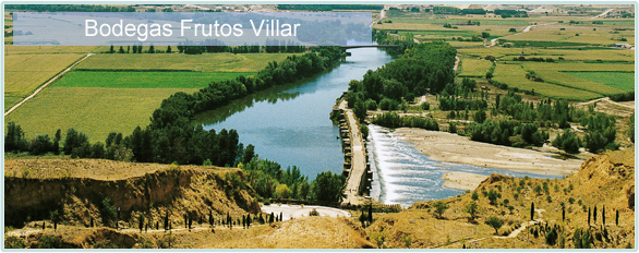 Weine von Bodegas Frutos Villar bei www.winestore24.de