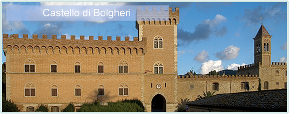 Weine von Castello di Bolgheri bei www.winestore24.de