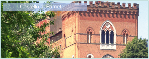 Weine von Castello di Farnetella bei www.winestore24.de