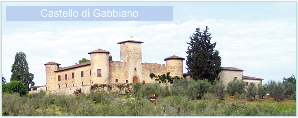 Weine von Castello di Gabbiano bei www.winestore24.de