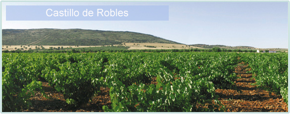 Weine von Castillo de Robles bei www.winestore24.de