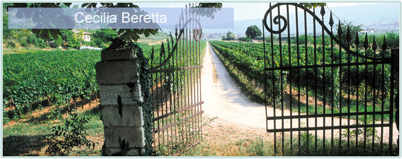 Weine von Cecilia Beretta bei www.winestore24.de