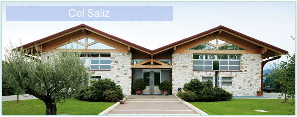 Weine von Col Saliz bei www.winestore24.de