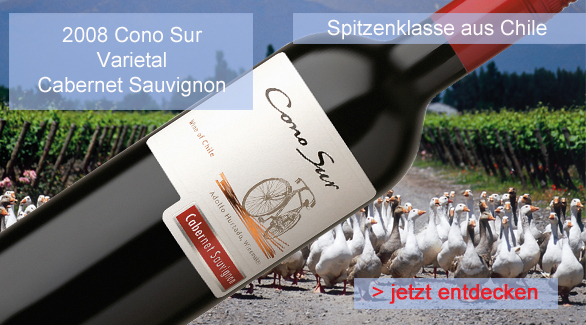 Das Weingut Cono Sur liegt etwa 150 kilometer s�dlich von Santiago de Chile in Chimbarongo inmitten des Colchagua Valley. Verantwortlich f�r die Weine von Cono Sur ist der Chief Winemaker Adolfo Hurtado, der zu den angesehendsten Winemakern Chiles geh�rt. Adolfo Hurtado ist bekannt f�r seine Philosophie, so weit wie m�glich auf k�nstlichen D�nger und synthetische Pflanzenschutzmittel zu verzichten. Die Weine von Cono Sur entstehen getreu dem Motto drink green.