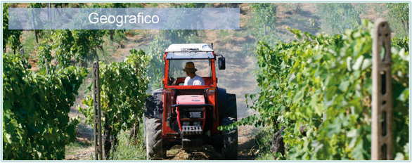 Weine von Geografico bei www.winestore24.de