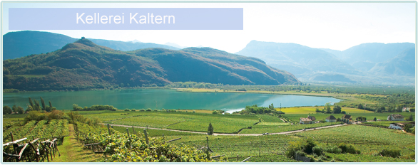 Weine von Kellerei Kaltern bei www.winestore24.de