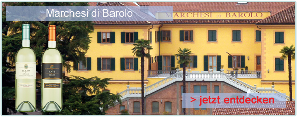 Das Weingut Marchesi di Barolo inmitten der kleinen historischen Ortschaft Barolo befindet sich heute im Besitz der Familie Abbona. Anna und Ernesto Abbona haben dem Weingut, gemeinsam mit dem �nologen Flavio Fenocchio und einem engagierten Team, in aktueller Zeit einen ausgezeichneten Ruf und weltweite Anerkennung beschert.