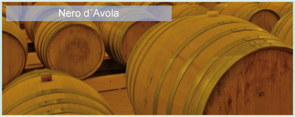 Die rote Rebsorte Nero d�Avola erfreut sich wachsender Beliebtheit. Nero d�Avola ist die Paraderebsorte Siziliens. Hier gibt es richtig viel Wein f�r�s Geld. Gute Nero d�Avola Weine gibt es bereits ab unter 5 Euro und Spitzenweine kosten selten mehr als 10 Euro. Lassen sie sich von der Qualit�t des Nero d�Avola �berzeugen.