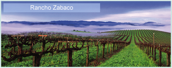 Weine von Rancho Zabaco bei www.winestore24.de