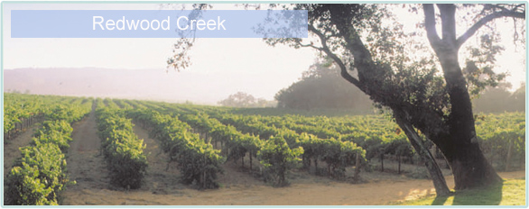 Weine von Redwood Creek bei www.winestore24.de