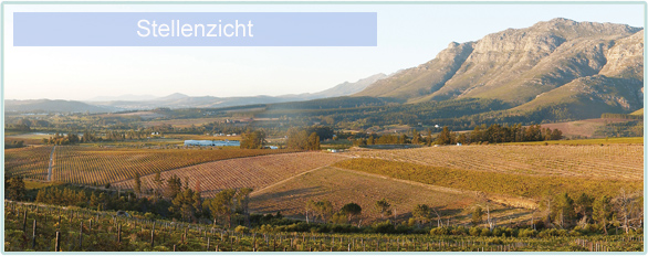 Weine von Stellenzicht bei www.winestore24.de