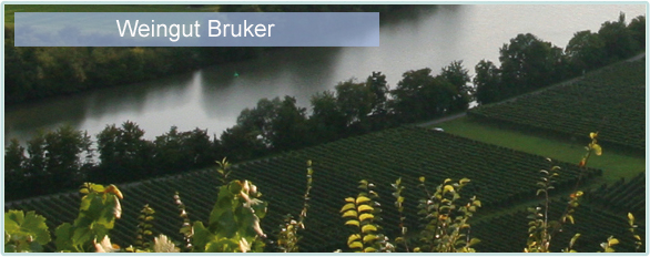 Weine von Weingut Bruker bei www.winestore24.de