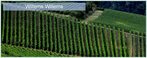 Weine von Willems Willems bei www.winestore24.de