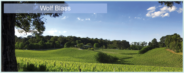 Die Erfolgsgeschichte von Wolf Blass ist eng mit der Pers�nlichkeit des Gr�nders verbunden. Der ideenreiche und exzentrische Unternehmer Wolfgang Blass gr�ndete die Kellerei 1966. Er stammt aus Th�ringen und gilt als Pionier sowie eine der wichtigsten Pers�nlichkeiten des australischen Weinbaus. Weit �ber 3.000 internationale Auszeichnungen konnten seine Weine in den letzten Jahrzehnten erringen. Wolf Blass z�hlt damit zu den erfolgreichsten Kellereien der Welt.