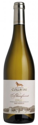Eugenio Collavini Sauvignon Blancfumat Collio DOC - Auf einem Gesamtbesitz von 160 Hektar baut Manlio Collavini, der heutige Besitzer des Gutes Eugenio Collavini, eine Vielzahl von Rebsorten an: Pinot Grigio, Chardonnay, Sauvignon, Ribolla Gialla, Toca... Eugenio Collavini Sauvignon Blancfumat Collio DOC - Auf einem Gesamtbesitz von 160 Hektar baut Manlio Collavini, der heutige Besitzer des Gutes Eugenio Collavini, eine Vielzahl von Rebsorten an: Pinot Grigio, Chardonnay, Sauvignon, Ribolla Gialla, Toca...